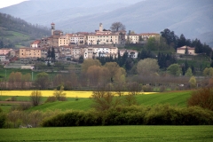 Monterchi