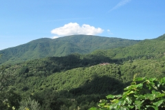 Holiday Rentals Tuscany